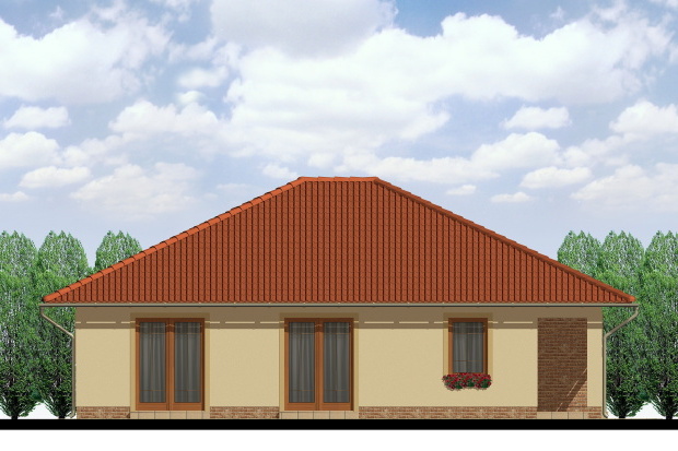 Array - perspektiva PL